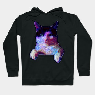 Blue cat is not impressed. Hoodie